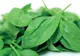 Joia Mare. De ce i se spune şi Joia Verde: ce semnifică