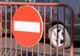 Trafic restricționat duminică în Bucureşti. Rute alternative recomandate de polițiști