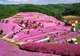 ZIUA PĂMÂNTULUI 2016. Cele mai colorate locuri de pe pământ, create de Mama Natură. Imagini WOW