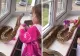 Părinţii i-au cumpărat unei fetiţe de 3 ani un piton. Micuţa a pus mâna pe el. E ŞOCANT ce a urmat