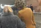 Ce orori au văzut oamenii la metrou. S-au îngrozit cu toţii. Copiii s-au speriat