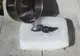 Ce se întâmplă dacă torni aluminiu topit peste gheața carbonică. Te-ai fi așteptat la asemenea efect