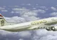 Aterizare de urgenţă în Jakarta după ce 31 de pasageri ai aeronavei au fost răniţi