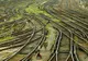 Grav accident în Elveția. 17 persoane, la spital după ce un tren și un autocar s-au ciocnit