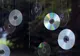 Agaţă un CD la geam! Te va salva, garantat, pe timp de vară. Face minuni