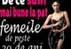 De ce sunt mai bune la pat femeile de peste 30 de ani