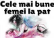 TOP 4 Cele mai bune femei la pat, în funcţie de zodie