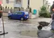 Gropi plombate pe ploaie. Explicația firmei: "În Germania se toarnă asfalt și când ninge"