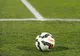 Toate meciurile din Liga I au fost amânate