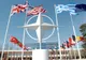 NATO va trimite patru batalioane „robuste” în țările baltice și în Polonia