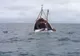 17 persoane date dispărute, după un accident naval în Marea Chinei de Est