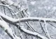 A căzut prima ninsoare în România, după săptămâni întregi de caniculă 