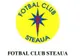 Noua siglă a echipei STEAUA a fost înregistrată. Cum vi se pare?