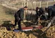 Rudele au crezut că e mort și l-au înmormântat. Ce au descoperit însă după 11 ani 