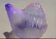 Creatura paralizantă găsită pe o plajă: seamăna cu un balon, dar...