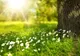 PROGNOZA METEO, 20 mai. Vreme din ce în ce mai caldă. Cum va fi în weekend