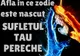 În ce zodie se află sufletul pereche