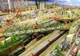 Un britanic a construit un oraş întreg în curtea unei case
