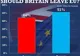 BREXIT. Există exit-poll-uri private, comandate de marile bănci, dar rezultatele nu vor fi publice