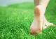 Căpușe în curte. Cum să prepari un insecticid natural pentru a le combate