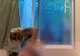 O blondă făcea videochat XXX la ea acasă. Nici nu ştia ce se întâmplă afară.A ajuns de RÂSUL netului