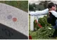 A văzut bănuții pe cruce, în cimitir. Credea că i-a uitat cineva. Când a aflat ce înseamnă a plâns