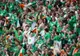 EURO 2016. Suporterii Irlandei au văzut un francez ieșind pe balcon. Ce a urmat? Râzi cu lacrimi