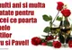 FELICITĂRI Petru şi Pavel 2017. Imagini frumoase cu text pentru PETRU şi PAVEL: La mulți ani!