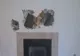 A auzit zgomote ciudate din perete. A spart zidul şi a rămas îngrozit de ce a găsit