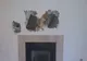 A auzit zgomote ciudate din perete. A spart zidul şi a RĂMAS ÎNGROZIT de ce a găsit