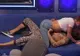 Scene de sex în direct şi sute de reclamaţii ale telespectatorilor, după o emisiune TV