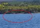 A filmat lacul, dar când s-a uitat la imagini, s-a speriat. Cum arată creatura ciudată de sub apă