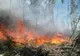 Incendiu de vegetație de proporții în Cipru: 2 morți