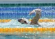 Ștafeta masculină de 4x100 m liber de înot a României va fi prezentă la Olimpiada de la Rio 