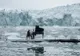Toată lumea a îngheţat când l-a văzut! Un pianist a şocat Planeta pe un iceberg din Arctica