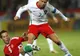 EURO 2016. Ungaria-Portugalia, ce meci! Maghiarii au condus jocul şi sunt pe locul 1 în grupă 