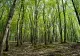 Cel mai scurt test de personalitate. Alege o imagine de mai jos și află-ți destinul