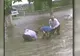 Hărnicie pe Facebook. Cum desfundă primarul din Curtea de Argeş o gură de canal