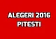 Rezultate alegeri Pitesti – Cine a castigat functia de primar
