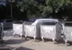 Căuta în gunoi sticle de plastic, dar a găsit ceva de neînchipuit: "M-a luat tremuratul"