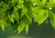 PROGNOZA METEO. Cum va fi vremea până în weekend. Vești noi de la meteorologi
