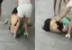 A fost prinsă de soția amantului și dezbrăcată pe stradă. Scene șocante 