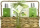 Black Friday la cosmetice. Magazinele care au azi cele mai tari oferte