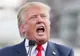 O fotografie cu mama lui Donald Trump a isterizat Internetul!