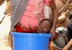 Povestea tragică a fetei din Nigeria care trăiește într-un bol de plastic