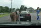 Doi agenţi au oprit în trafic un Corvette. L-au tras jos pe şofer, l-au arestat, ce a urmat e ŞOC!