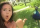 A insistat să-și facă selfie cu un păun nervos. E șocant ce s-a întâmplat când pasărea s-a enervat