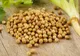 Această plantă vindecă toate bolile digestive. Trebuie să bei doar 2-3 căni de ceai zilnic