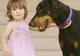 Au lăsat fetiţa de 2 ani singură cu Dobermanul în curte. Când s-au întors acasă, S-AU ÎNGROZIT!