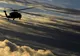 Transmitea prognoza meteo din elicopter. Brusc, ceva incredibil a apărut în imagine. ”E periculos”
